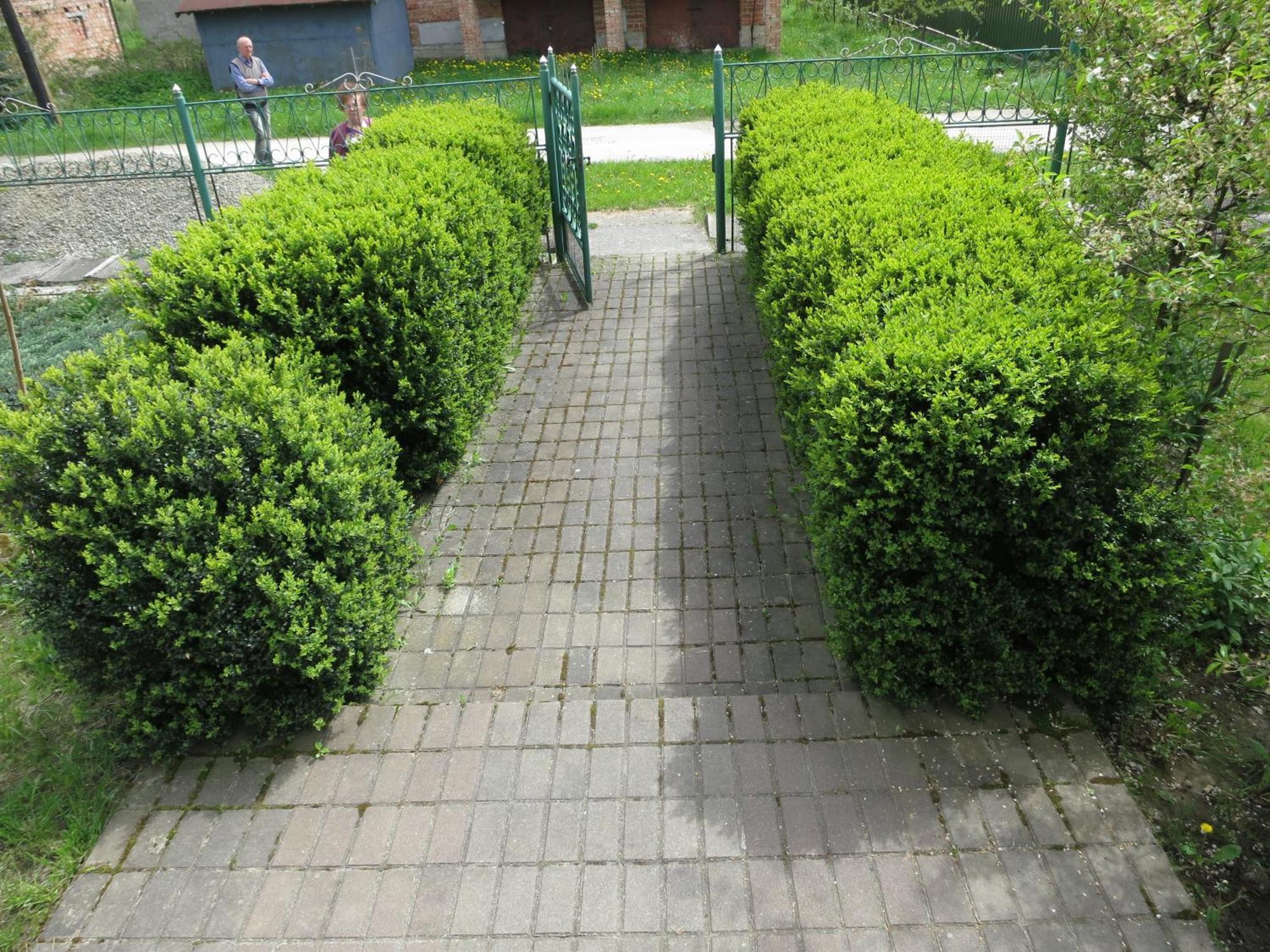 Hostynna Sadyba Leshnya Bagian luar foto